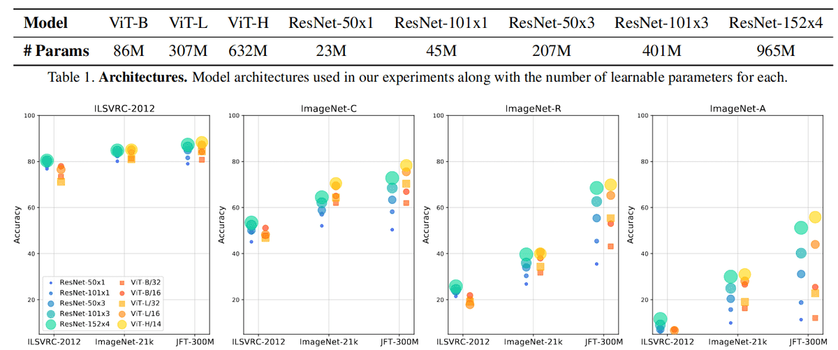 robustness-study-vit-resnets