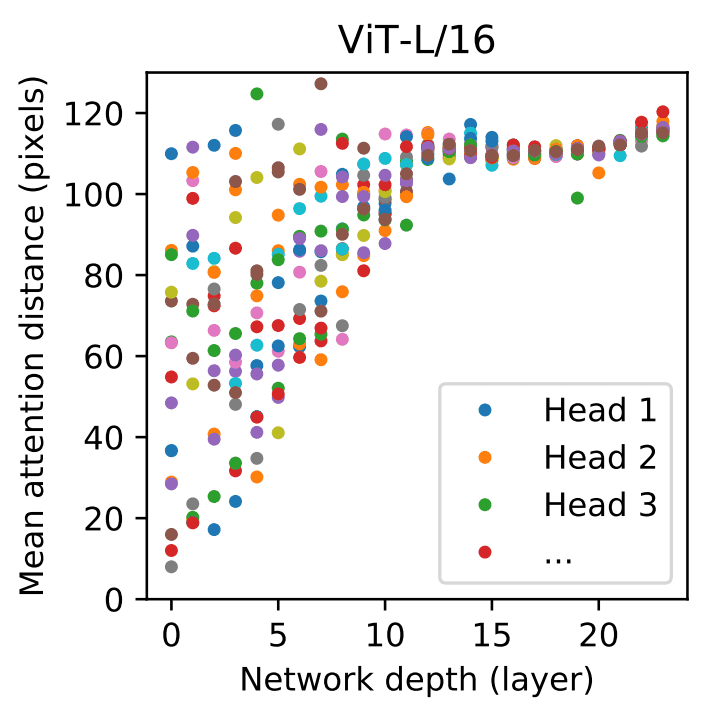 vit-head-distance