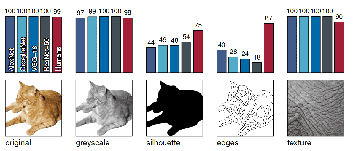 cnn-multiple-stimuli