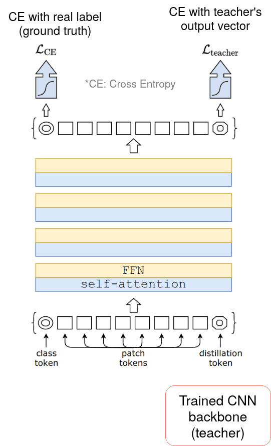 Deit-overview