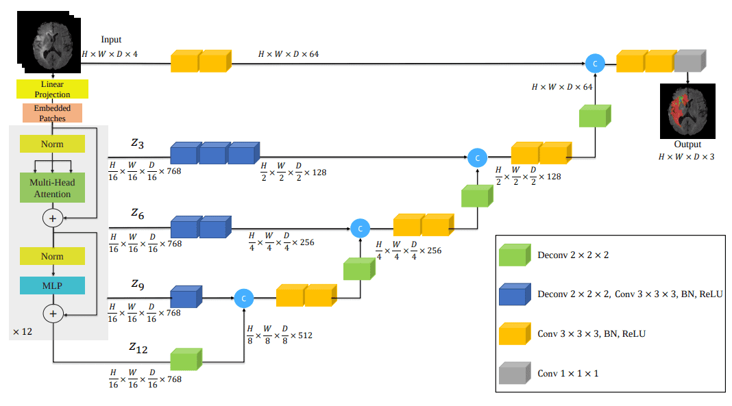 Unetr-architecture