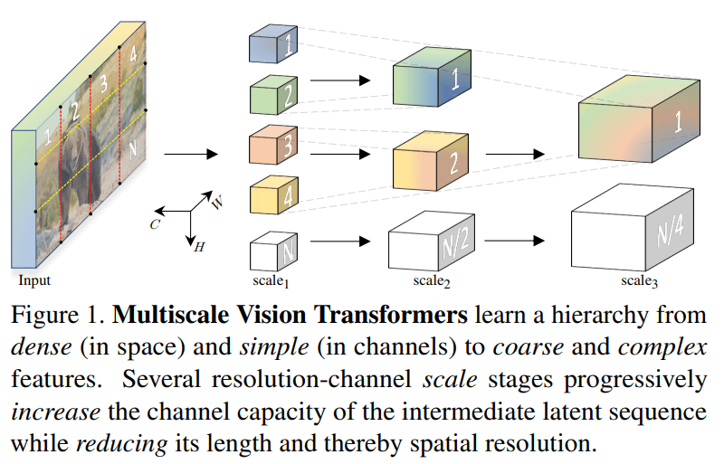 multi-scale-vit