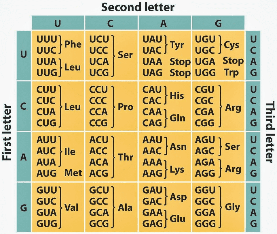 genetic-code-image