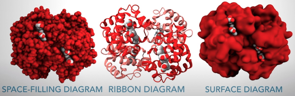 protein-3d-visualization