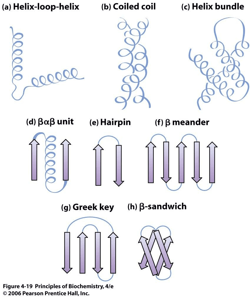 example-of-motifs