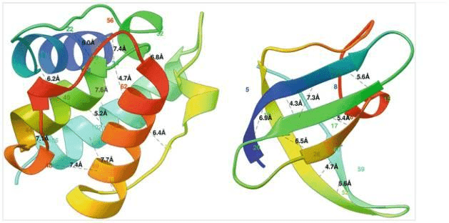 protein-contact-prediction