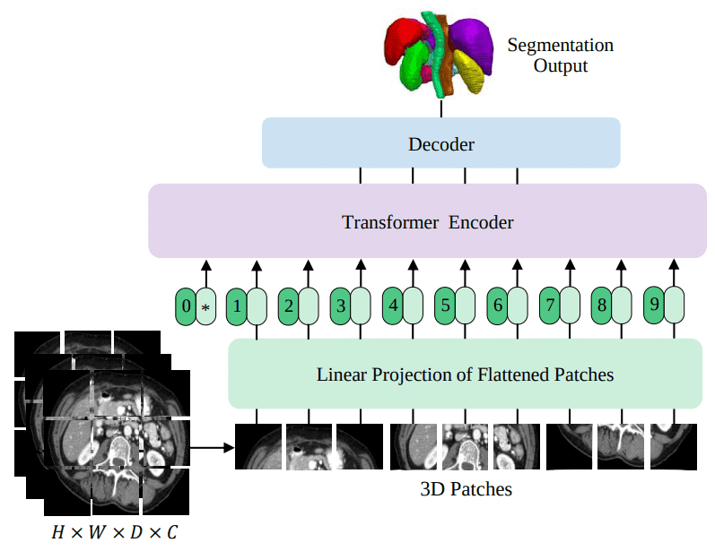 unetr-model-overview