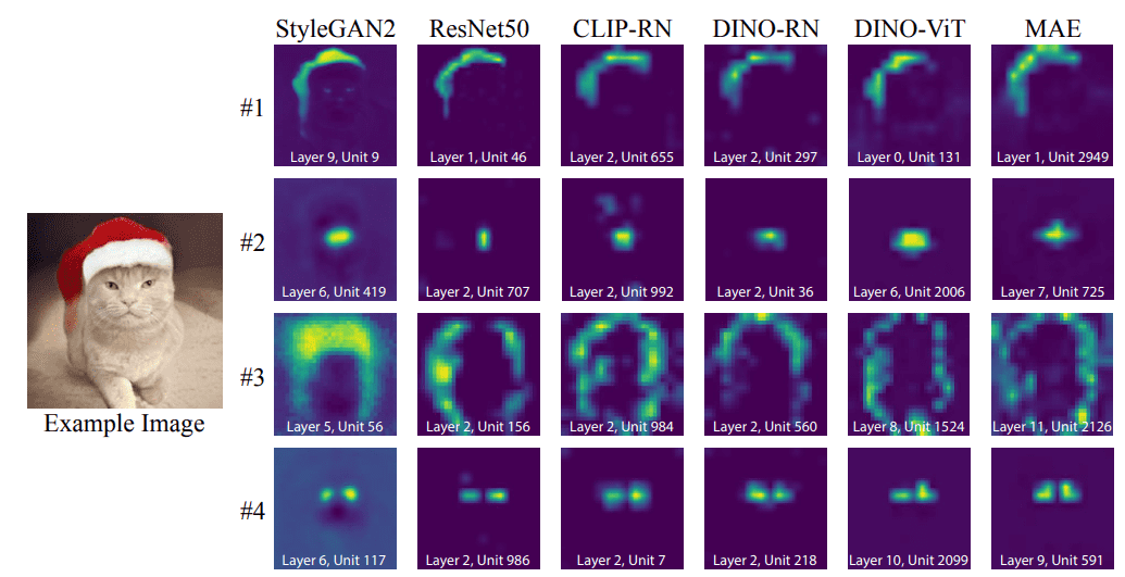 rosetta_neurons_google_ai